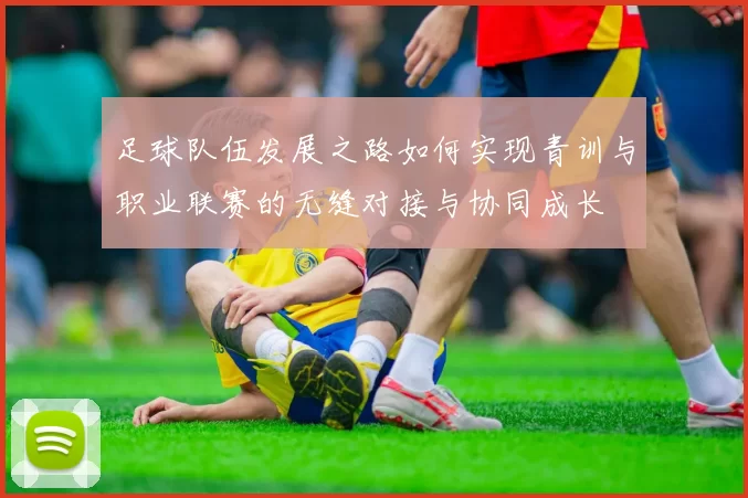 足球队伍发展之路如何实现青训与职业联赛的无缝对接与协同成长