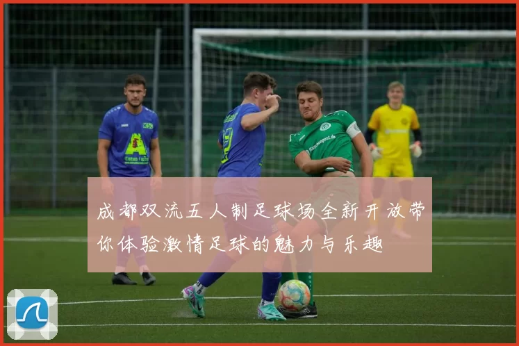 成都双流五人制足球场全新开放带你体验激情足球的魅力与乐趣
