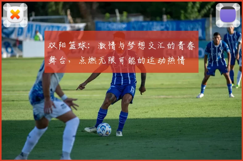 双阳篮球：激情与梦想交汇的青春舞台，点燃无限可能的运动热情