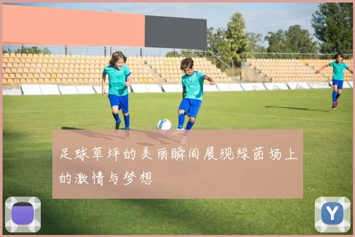 足球草坪的美丽瞬间展现绿茵场上的激情与梦想
