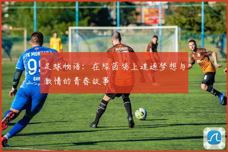 足球物语：在绿茵场上追逐梦想与激情的青春故事